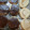 El cooksnap de Natthy Kaulitz Cyrus cuando hizo Galletitas de vainilla sin huevos ni manteca.