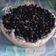Cooksnap από Mary Corina στη συνταγή Cheese Cake (με γιαούρτι, χωρίς φούρνο)