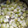 El cooksnap de Ivonne H. Vázquez cuando hizo Chayote al vapor y mantequilla.