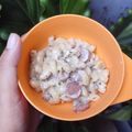 Cooksnap dari Agnesia Evita untuk resep Macaroni Spiral Carbonara