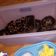 Cooksnap dari lily untuk resep Brownies panggang fudgy shiny crush