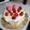 El cooksnap de jose luis cuando hizo Tarta de galletas y limón {sin gluten}.