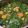 Cooksnap dari Dy_Krans untuk resep Sayur bayam bening