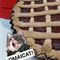 El cooksnap de Cloti Garcia cuando hizo Pasta Frola sin gluten.