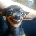 El cooksnap de Josefina Jaurena cuando hizo Galletas con chips.