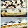 Kajal Ankur Dholakia's cooksnap of when they made બ્રેડ લજાનિયા ઈન કડાઈ (Bread Lasagna In Kadai Recipe In Gujarati).