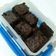 Cooksnap dari Diana untuk resep Best Whole Wheat FUDGY BROWNIES !!! 🌾 🍫 🍫🍫