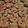 kdunham930's cooksnap of when they made Monster Cookies.
