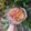Cooksnap dari yasinta untuk resep Rolade sapi saus tiram