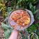 Cooksnap dari yasinta untuk resep Rolade sapi saus tiram