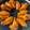 Cooksnap de Cris Maria quando cozinhou Asas de Frango na Airfryer.