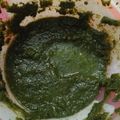 Nipi Arora's cooksnap of when they made Pudina chutney.