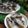 Cooksnap dari Geby Sabrina ED untuk resep Puding Teh Susu Cincau