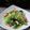 阿文 的 大豆苗佐瓜子肉 cooksnap