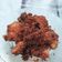 Cooksnap dari Ririen Ernawati untuk resep Ayam goreng lengkuas
