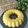 Cooksnap dari Yuliyana Alwie untuk resep Puding Jagung