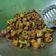 Cooksnap dari iniNia untuk resep Tumis Cumi Asin,Tahu Bumbu Kecap