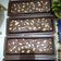 Cooksnap dari nia.meilani123@gmail.com untuk resep Bronis panggang