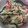 Cooksnap dari Liesna untuk resep Tongseng Sapi