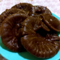 Cooksnap dari Hafika untuk resep Kue Cucur Gula Aren