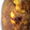 El cooksnap de anny joseph cuando hizo Torta invertida de manzanas.