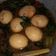 Cooksnap dari adinda zahra untuk resep Semur Tahu Telur