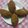 Jayeeta Sarkar's cooksnap of when they made ডিমের ডেভিল(dimer devil recipe in Bengali).