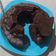 Cooksnap dari Putri Milaapriana untuk resep Brownies Kukus Simple (Takaran Sendok)