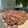 El cooksnap de irene serrano cuando hizo Galletas de avena, naranja y chocolate.