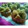 Cooksnap dari Kristina A #nasofian untuk resep Bolu Kukus Gula Merah
