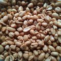 Cooksnap dari Tika Ltf untuk resep Kacang bawang/ tojin garing kering Tak berminyak