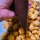 Cooksnap dari Shanty Bambang untuk resep MINI CHOUX |SUS KERING MINI
