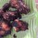 Cooksnap dari Maya christie untuk resep Ayam Goreng Bacem