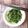 Cooksnap dari Ratih Anita Dewi untuk resep Salad Bayam Korea (Sigeumchi Namul)