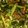 Vaishali Arora's cooksnap of when they made Bhindi Masala.