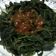 Cooksnap dari PRIMA BUDI untuk resep Brambang asem/plencing daun ubi