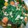 Cooksnap dari paramita christina untuk resep Udang sayur sawi hijau pedas manis