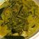 Cooksnap dari Manda Bee untuk resep Gulai Pakis Udang