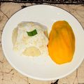 Cooksnap dari DJ. Ana untuk resep Manggo sticky rice ala thailand