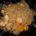 Cooksnap dari Kristin Wahyuni untuk resep Bihun Jagung Goreng Spesial