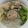 Cooksnap dari deni afhria untuk resep Bakso Ayam Kuah