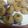 Sonal puri का कुकस्नैप जब उन्होंने पानी पूरी/गोल गप्पे/पुचका (Pani puri / golgappe /puchka recipe in hindi) बनाया था।