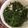CherryTs 的 清炒水蓮 cooksnap