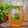 Cooksnap Norashikin Rahmat semasa beliau membuat "Teh O Ais Limau".