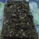 Cooksnap dari Ummu Isa untuk resep Fudgy Brownies