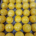 Cooksnap dari Fikna Yuniwati untuk resep Nastar Glowing
