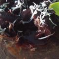 Cooksnap dari Mama Azzam untuk resep Chocolatos Lava Cake