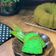 Cooksnap dari Sukma_Cuisine untuk resep Bolu Pandan Super Simple