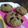 El cooksnap de Joaquina Cabral cuando hizo Muffins saludables de arándanos.