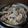 Cooksnap dari umm alifia untuk resep Garang asem ayam "keto friendly"